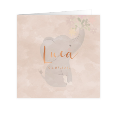 Geboortekaart Luca